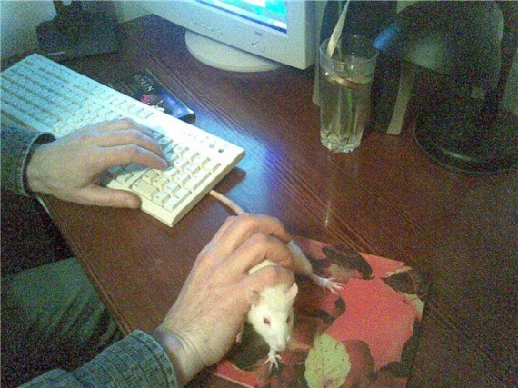 Funny picdump (109 pics) Funny picdump (109 pics)