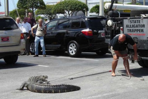 Funny picdump (109 pics)