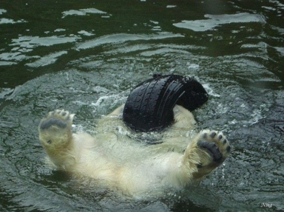 Funny picdump (109 pics)