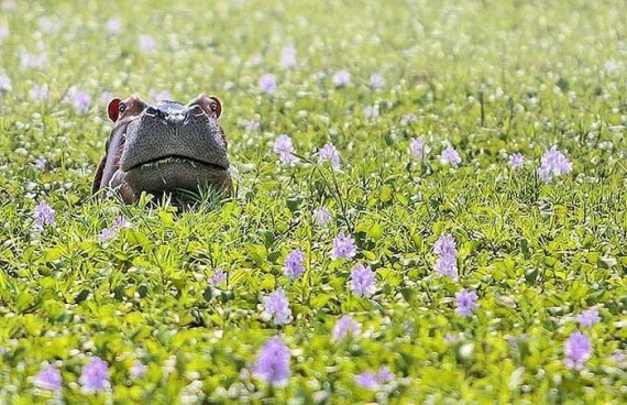 Funny picdump (109 pics)