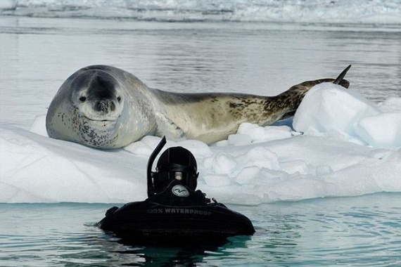 Funny picdump (109 pics) Funny picdump (109 pics)