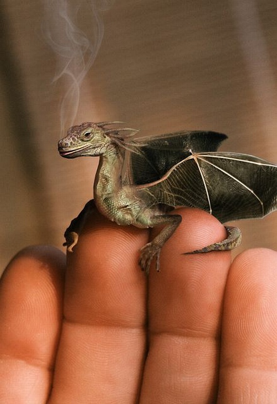 Funny picdump (109 pics)