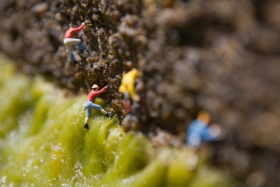 Microcosm - PART 2 (91 pics)