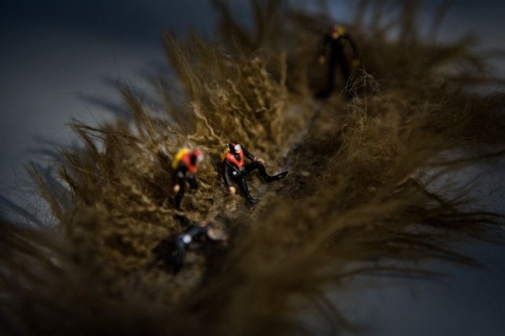 Microcosm - PART 2 (91 pics)