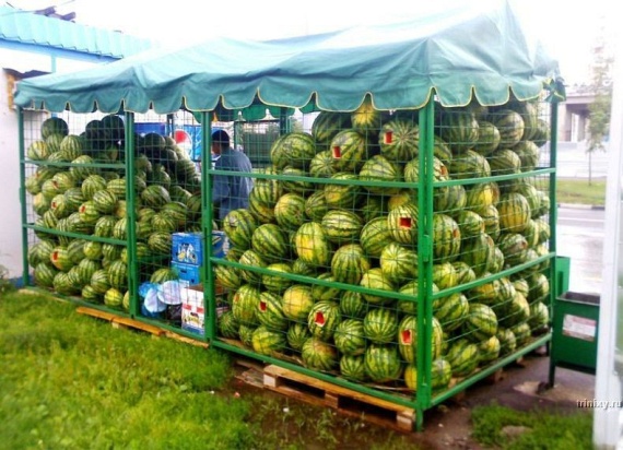 Only in Russia - PART 2 (169 pics)