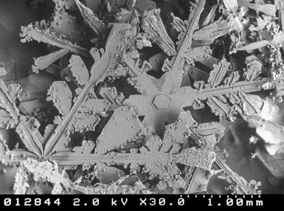 Snow Under A Microscope (23 pics)
