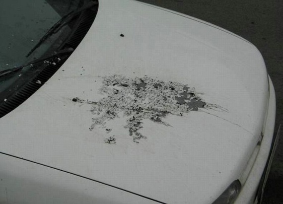Revenge...  (55 pics)