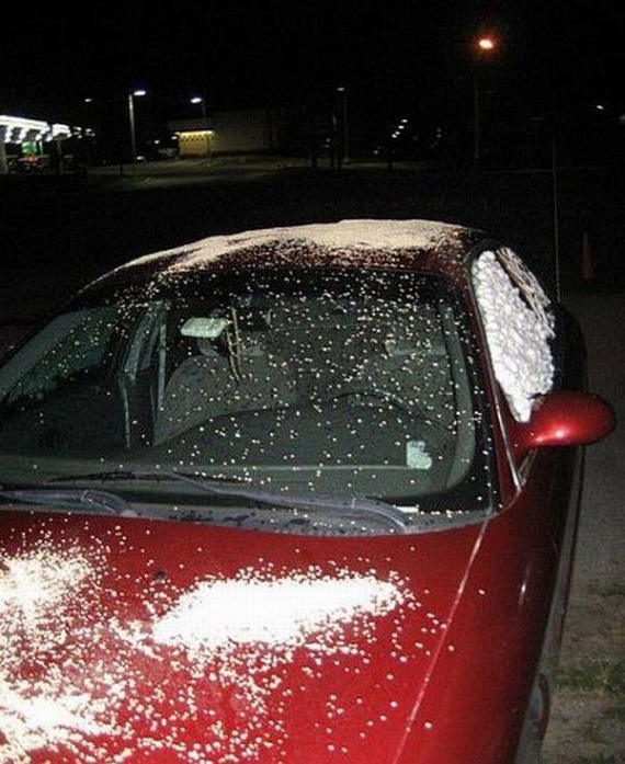 Revenge...  (55 pics)