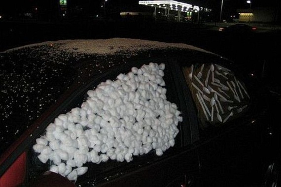 Revenge...  (55 pics)