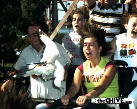 Roller Coaster... (19 pics)