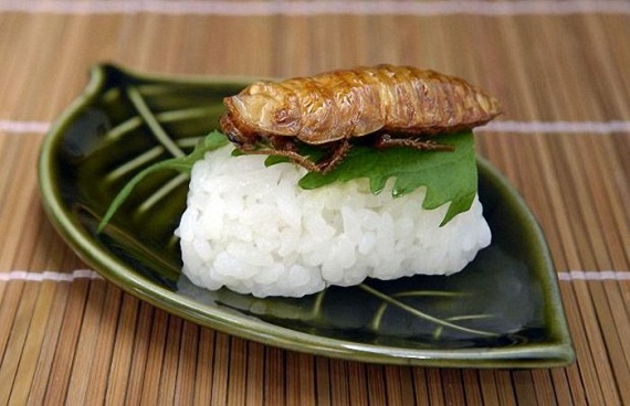 Insect Sushi (11 pics)