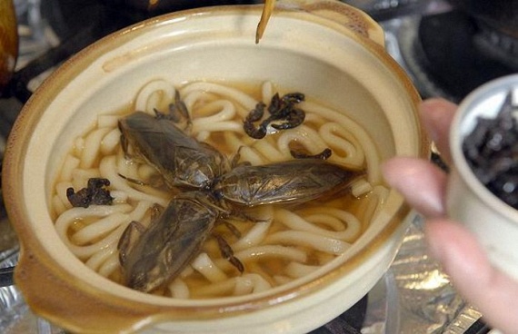 Insect Sushi (11 pics)