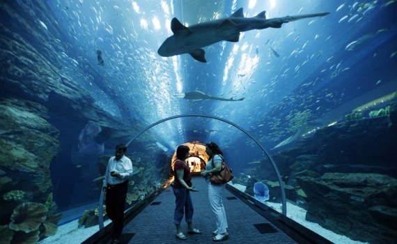 Dubai (27 pics)
