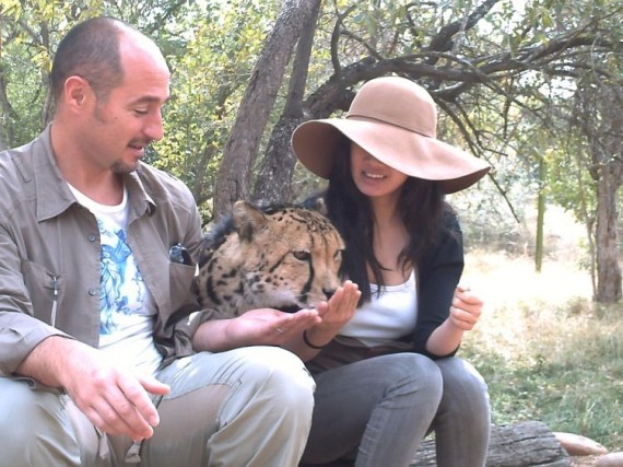 Kruger National Park (52 pics)