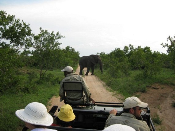 Kruger National Park (52 pics)