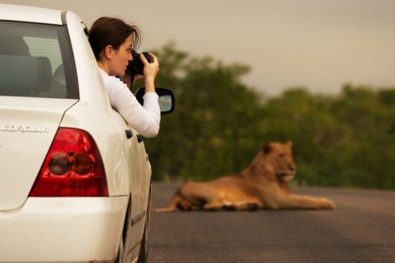 Kruger National Park (52 pics)