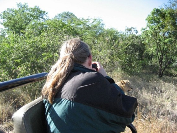 Kruger National Park (52 pics)