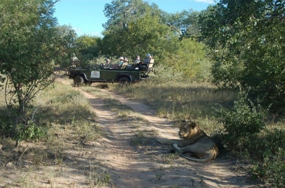 Kruger National Park (52 pics)