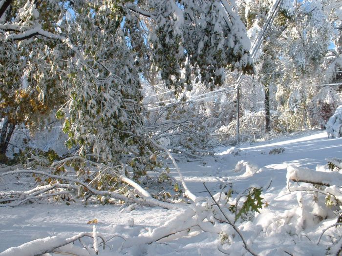 1Western MA October 2011 Snow Storm Damage (28 pics)