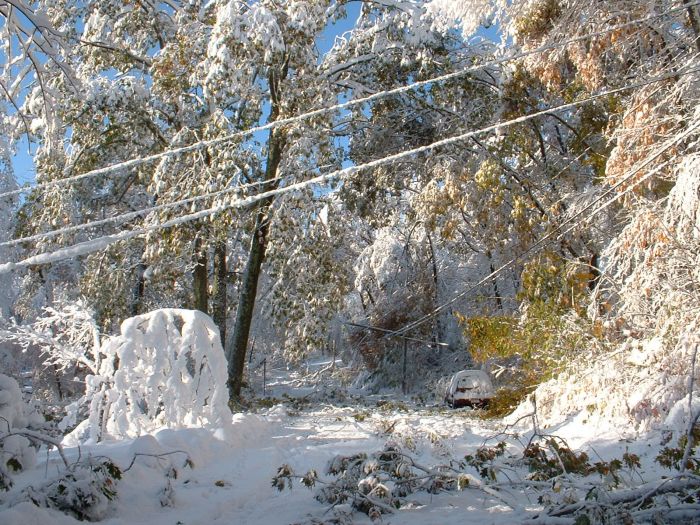 1Western MA October 2011 Snow Storm Damage (28 pics)