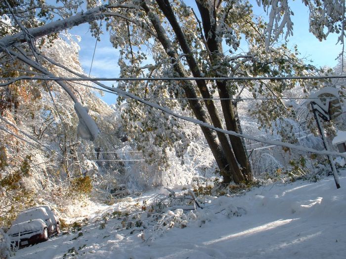 1Western MA October 2011 Snow Storm Damage (28 pics)