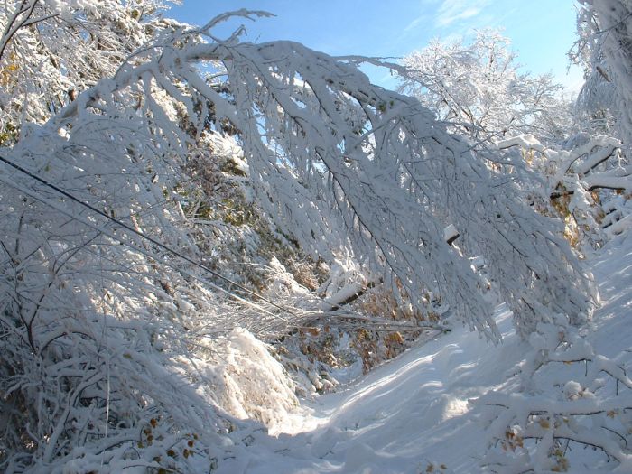 1Western MA October 2011 Snow Storm Damage (28 pics)