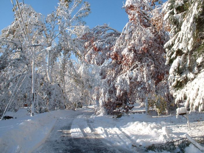 1Western MA October 2011 Snow Storm Damage (28 pics)