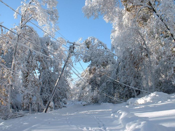 1Western MA October 2011 Snow Storm Damage (28 pics)