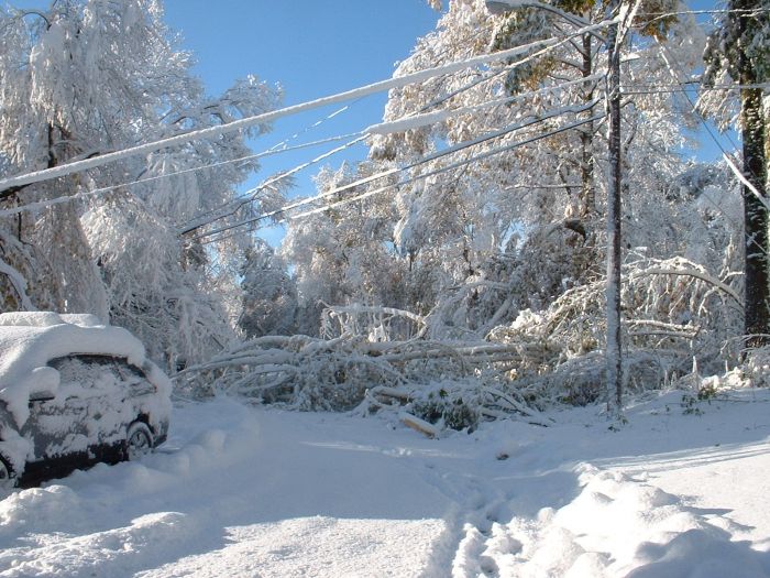 1Western MA October 2011 Snow Storm Damage (28 pics)