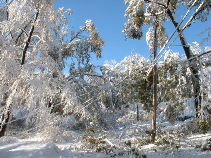 1Western MA October 2011 Snow Storm Damage (28 pics)