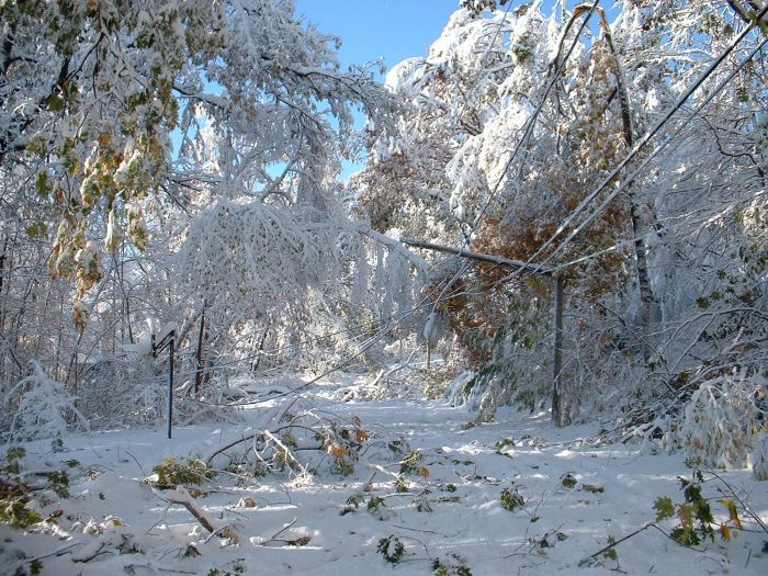 1Western MA October 2011 Snow Storm Damage (28 pics)