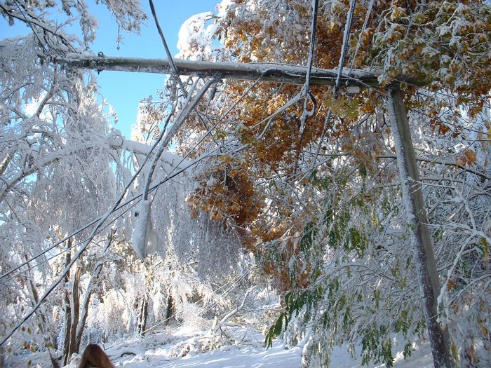 1Western MA October 2011 Snow Storm Damage (28 pics)