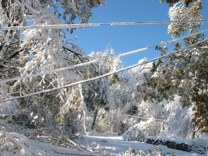 1Western MA October 2011 Snow Storm Damage (28 pics)