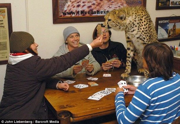 Acid picdump (163 pics)