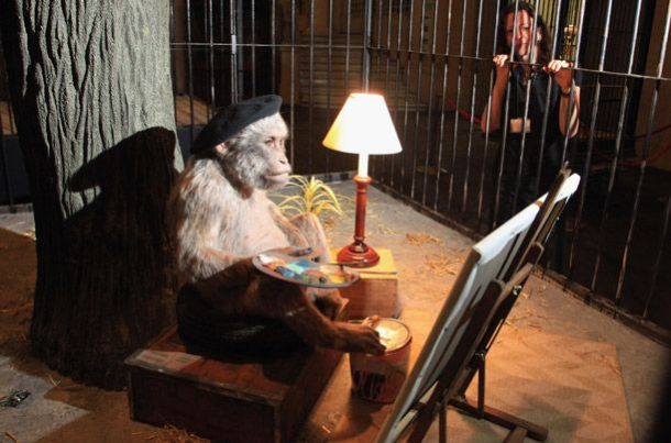 Acid picdump (163 pics)