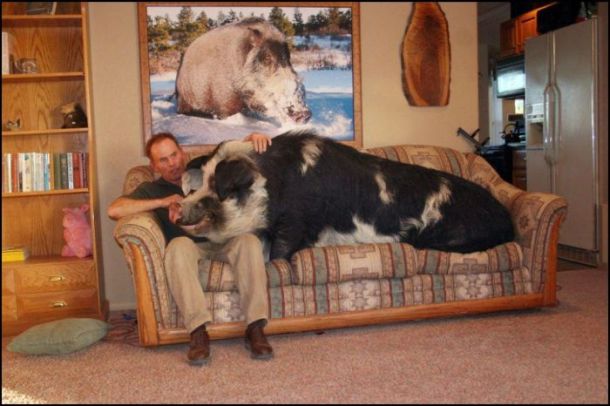 Acid picdump (163 pics)