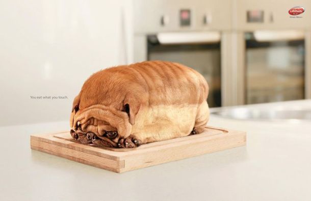Acid picdump (163 pics)