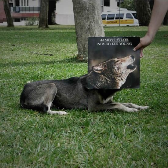 Acid picdump (163 pics)