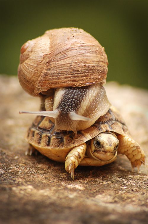 Acid picdump (163 pics) Acid picdump (163 pics)