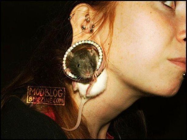 Acid picdump (163 pics)