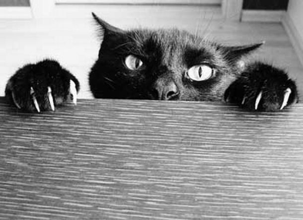 Acid picdump (163 pics) Acid picdump (163 pics)