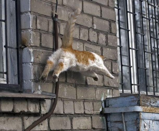 Acid picdump (163 pics)