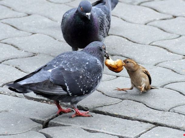 Acid picdump (163 pics) Acid picdump (163 pics)