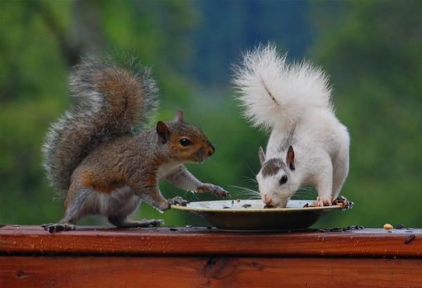 Acid picdump (163 pics)