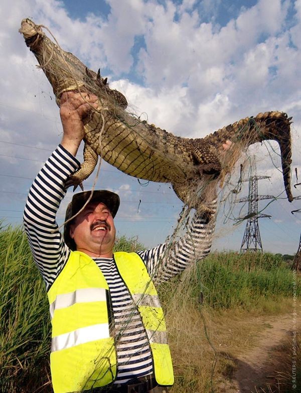 Acid picdump (163 pics)