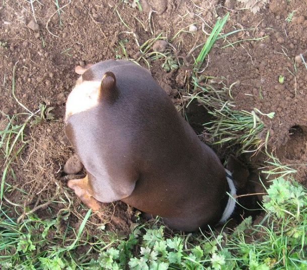 Acid picdump (163 pics)