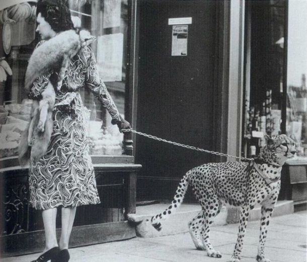 Acid picdump (163 pics)