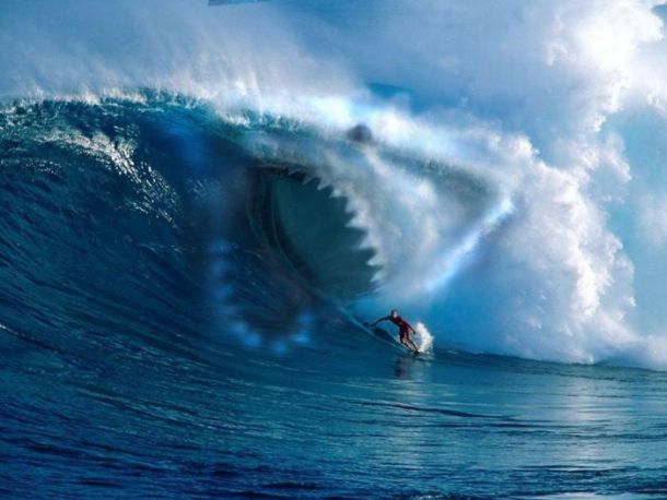 Acid picdump (163 pics)