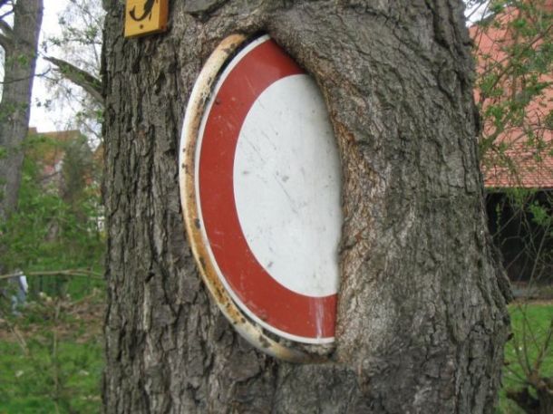 Acid picdump (163 pics)