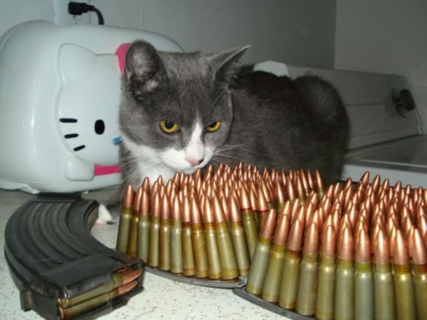 Acid picdump (163 pics)